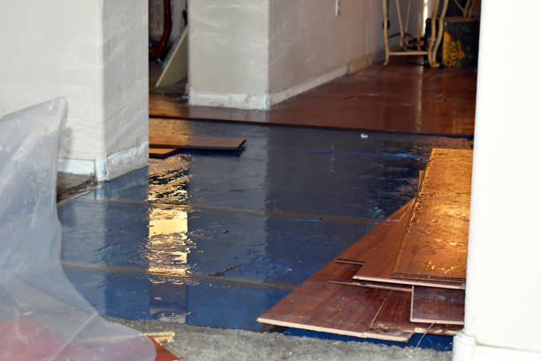 Professional Flood Damage Repair technician working in Sand Creek, MI